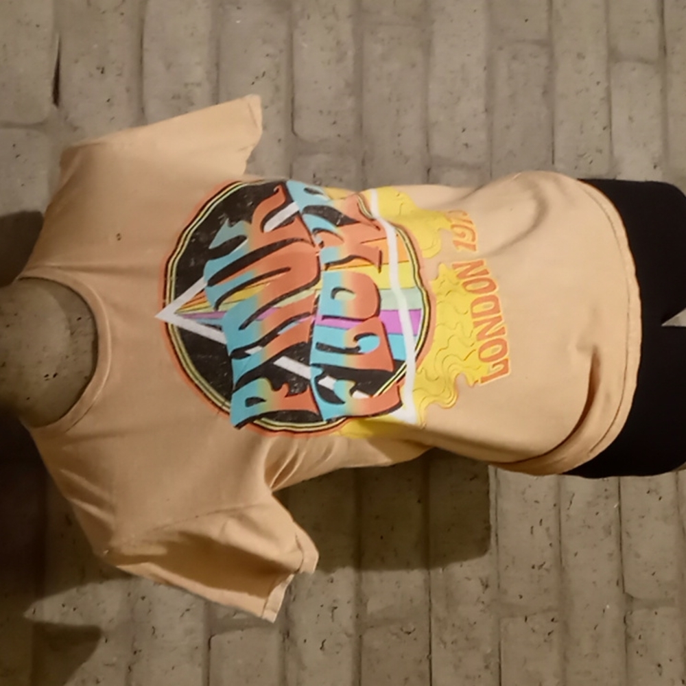 Pink Floyd boyfriend tee size xs 8